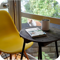 窓辺の景色と猫