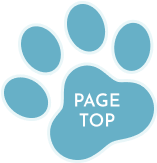 PAGETOP